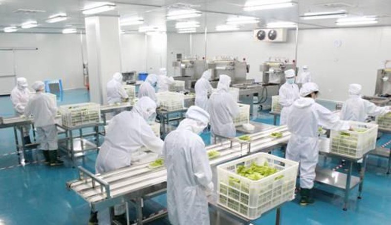 学校食堂承包选购指南